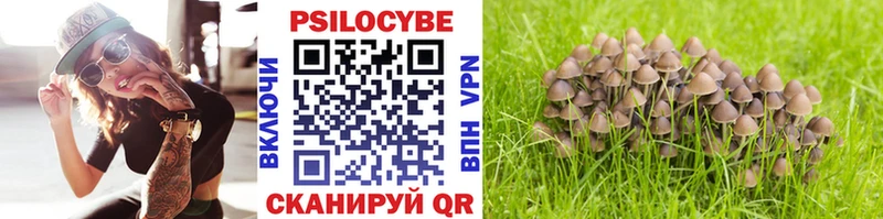 Галлюциногенные грибы Psilocybe  hydra как войти  Каспийск 