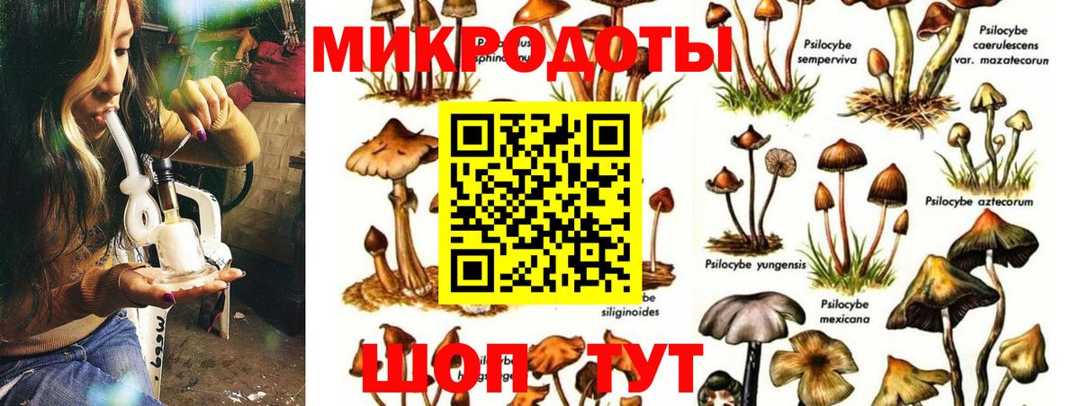 Каспийск  Галлюциногенные грибы мухоморы  Вход с VPN 