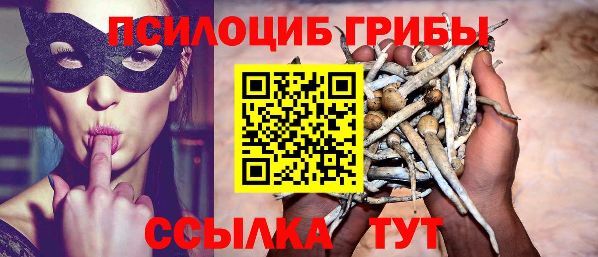 Псилоцибиновые грибы мухоморы  Каспийск  Псилоцибиновые грибы Psilocybe 