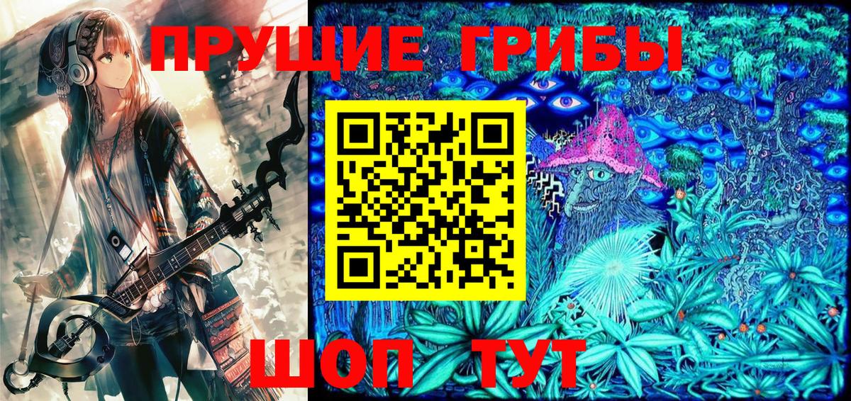 Псилоцибиновые грибы Psilocybe Каспийск