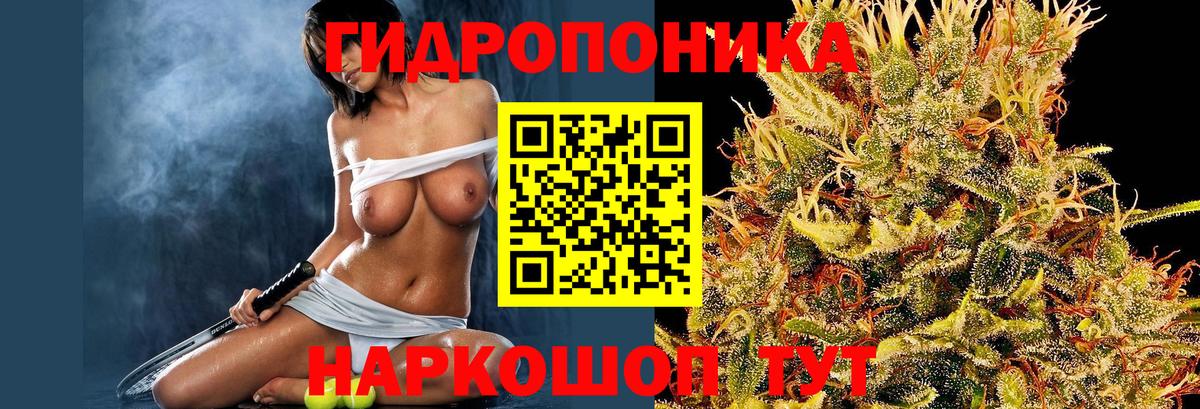 Марихуана Ganja  Конопля ГИДРОПОН  Бошки Шишки сатива  Каспийск  Вход с VPN 